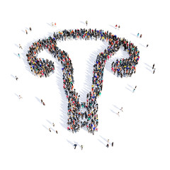 people female reproductive system 3d