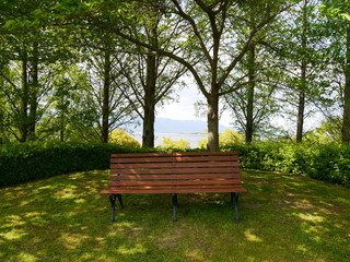 Fototapeta na wymiar 緑に囲まれたベンチ