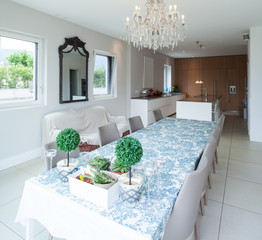 Modern house, dining room