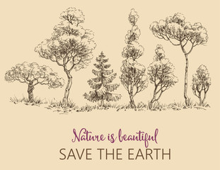 Line of trees, Save the Earth card