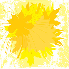 Fototapeta na wymiar Autumn theme background with scattered leaves and flowers