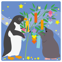 Obraz premium アデリーペンギン 七夕