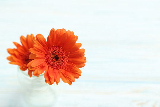 Orange Flowers On A Blue Wooden Table