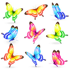 butterflies design