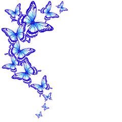 butterflies design