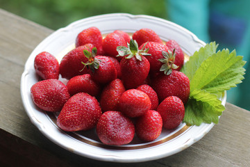 wild strawberry in a basket