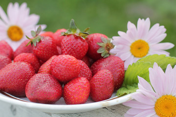 wild strawberry in a basket