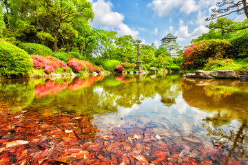 Obraz premium widok na zamek w Osace z ogrodu, Osaka, Japonia