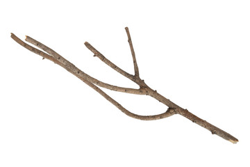 twig