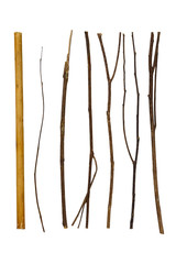 branch