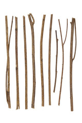 twig