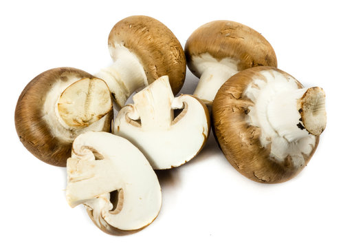 Braune Champignons Champignon pilz pilze isoliert freigestellt auf wei&szlig;en Hintergrund, Freisteller