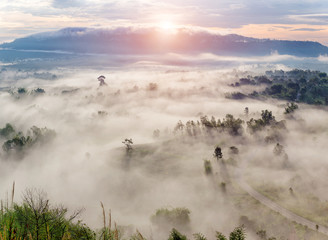 Sunrise in the sea of mist at dawn, Thailand