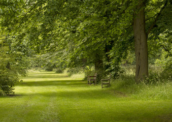 Fototapeta na wymiar Quiet Place to Sit. A large public country park with well established trees has a lovely little area to sit and enjoy the trees.
