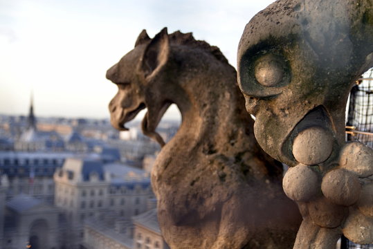 CATEDRAL DE NOTRE DAME