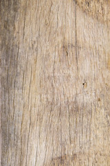 wood texture