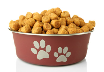Dog food in metallic bowl on white background