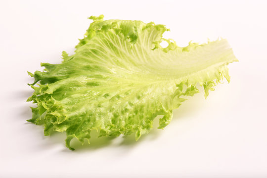 Fresh salad leaf on white background