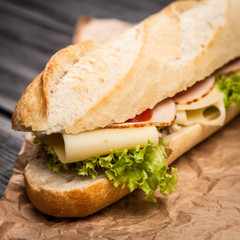 Panini grilled sandwich