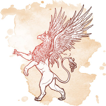 Griffin, griffon, or gryphon on grunge background.
