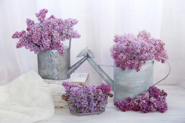 Bouquets of lilac flowers on light background