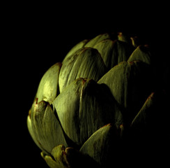 Artichoke on black background