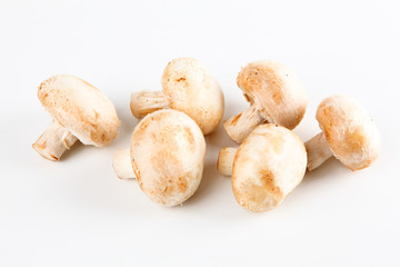 Champignons