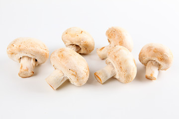 Champignons