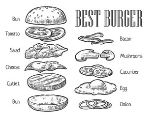 Burger ingredients. Vector vintage engraving illustration for poster, menu, web, banner, info graphic - obrazy, fototapety, plakaty