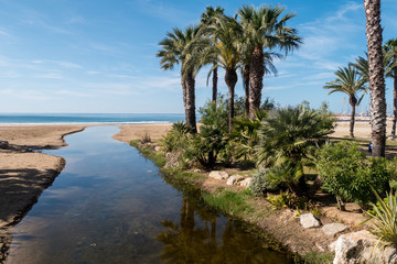 Strand in Cambrills - Costa Daurada - Palmen und Riera de Maspujols