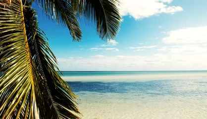 Badkamer foto achterwand Tropical Beach © winterbilder