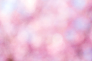 Abstract blurred for background or backdrop