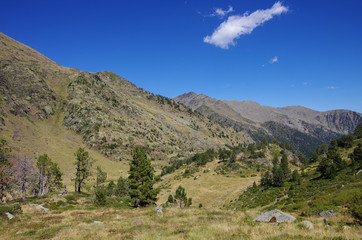 Mountain valley in Pyrenees near Coma Pedrosa peak. Andorra