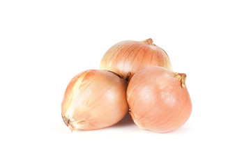 Dried onion on white