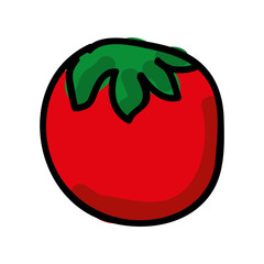 tomato fresh isolated icon design