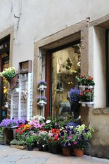 Fototapeta na wymiar negozio di fiori a Volterra