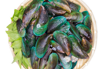 Mussels