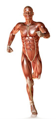 Fototapeta na wymiar 3d render of a male figure running