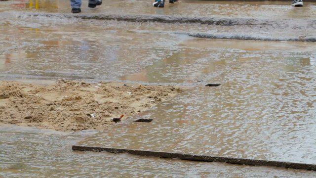Legs of Girl in Black. Rainy Day in the City. People go in the Rain. People's Feet