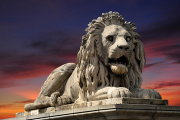 Lion statue on chain bridge in Budapest, Hungary