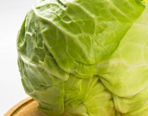 head of cabbage