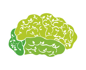 Brain icon. Human head design. vector graphic