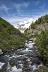 la Dora di val Veny ,con sullo sfondo l'aiguille des Glacier innevata