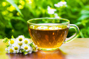 glass cup of tea with camomile flowers and camomile on the natural green vegetation background closeup