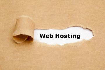 Web Hosting Ripped Paper Concept