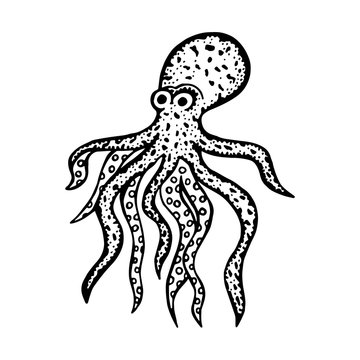 octopus vector