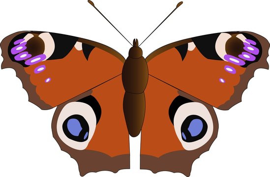 Dagpauwoog