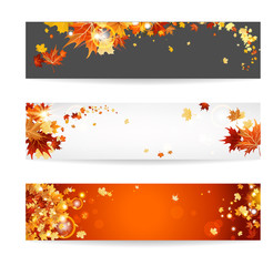 Set of banners with maple leaves