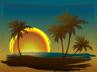 Fototapeta na wymiar Palm trees in the sun.