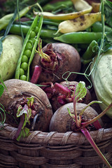 Basket with organic vegetables fresh from garden